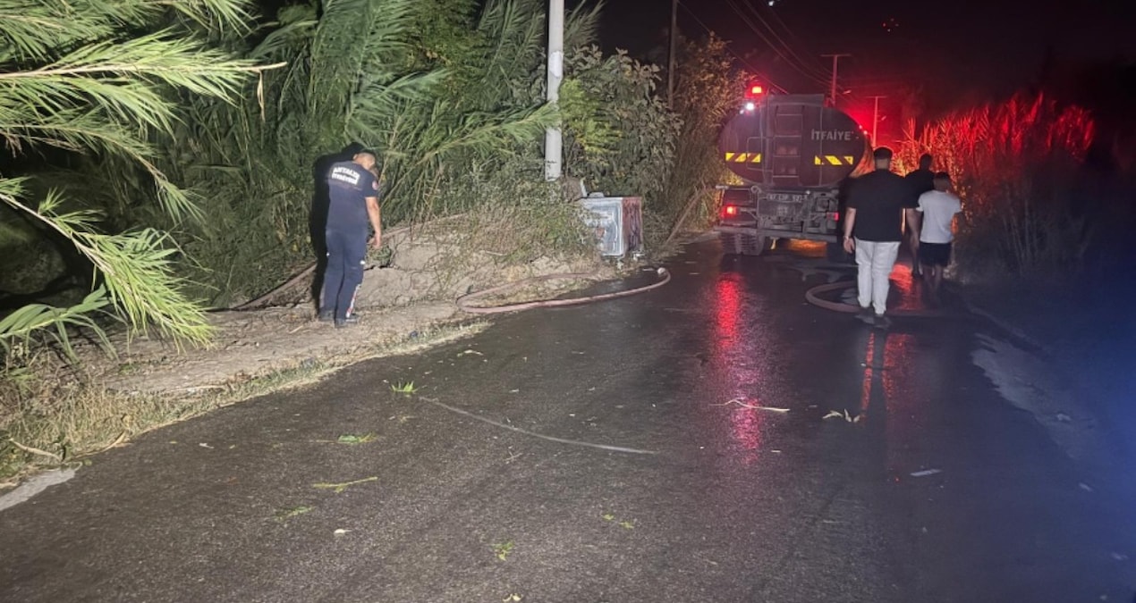 antalyada yangin panigi IuSPi2lY