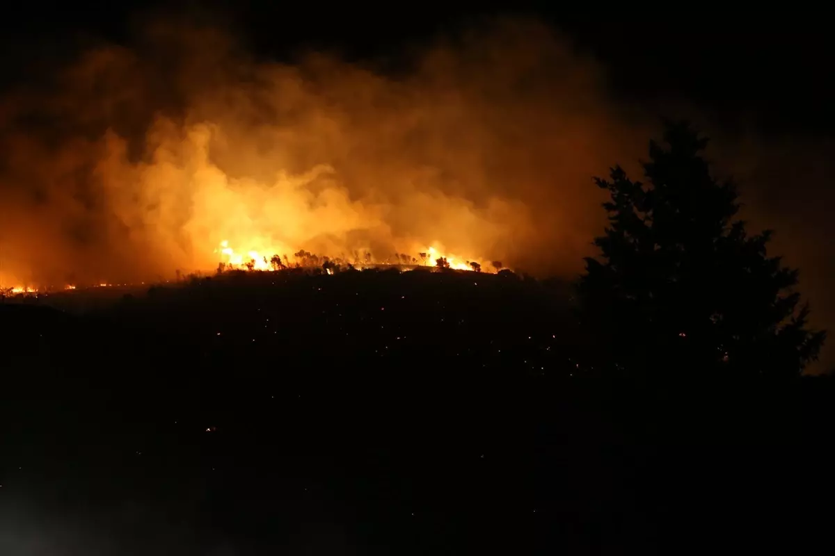 bursada orman yangini kontrol altinda BpmnThNB