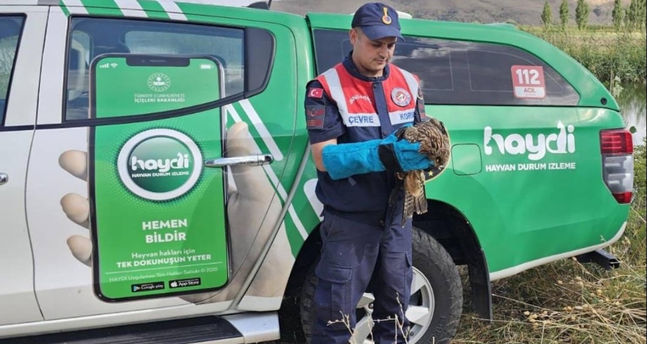 musta yarali kartal tedavi altina alindi w6u5by5X