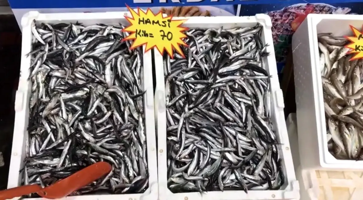 akcakoca balikci barinagi baskanindan taze balik uyarisi DYjFKJXp.jpg