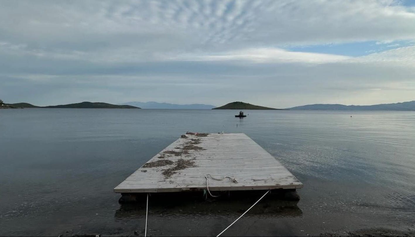 Bodrum’da Deniz Çayırlarına Yönelik Tehlikeli Temizlik Girişimi Engellendi