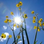 yeni-haftada-bahar-sicaklari-basliyor-88aVchD7