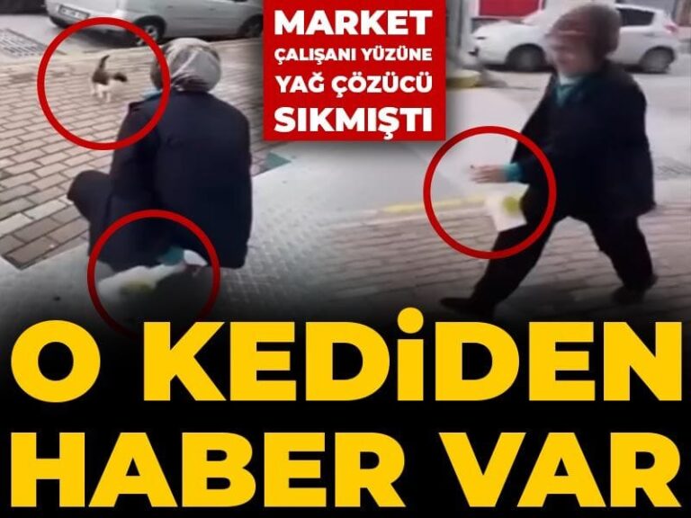 market-calisani-yuzune-yag-cozucu-sikmisti-o-kediden-haber-var-FVlc68ZJ
