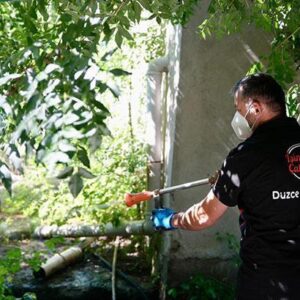 Düzce’de Asya Kaplan sivrisineği uyarısı!